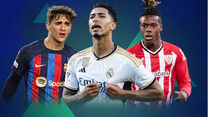 在足球职业 在足球职业